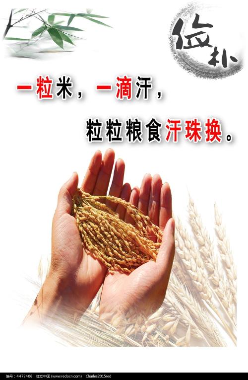 産業医学大学 Market Development Diplom